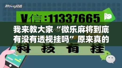 我来教大家“微乐麻将到底有没有透视挂吗”原来真的有挂