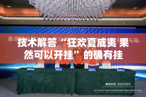 技术解答“狂欢夏威夷 果然可以开挂	”的确有挂