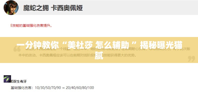 一分钟教你“美杜莎 怎么辅助 	”揭秘曝光猫腻