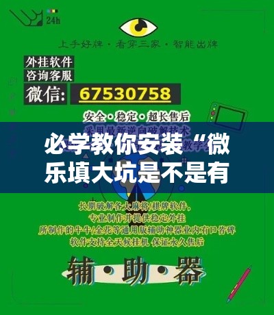 必学教你安装“微乐填大坑是不是有挂	”详细辅助