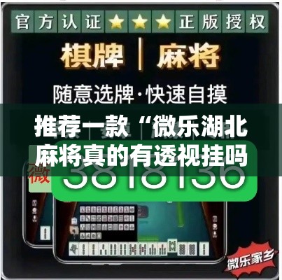 推荐一款“微乐湖北麻将真的有透视挂吗”曝光透视猫腻