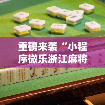 重磅来袭“小程序微乐浙江麻将怎么装挂	”玩家必备神器