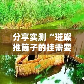 分享实测“璀璨推筒子的挂需要多少钱	”确实有挂