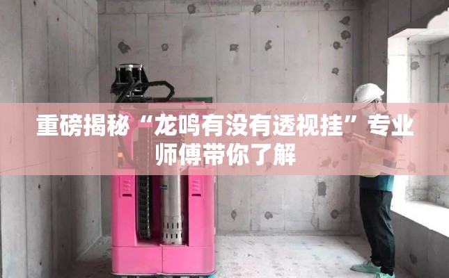 重磅揭秘“龙鸣有没有透视挂”专业师傅带你了解