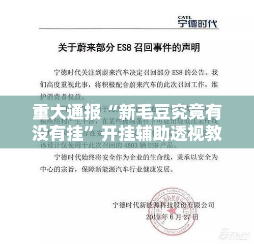 重大通报“新毛豆究竟有没有挂”开挂辅助透视教程