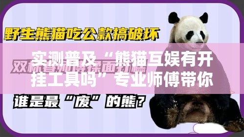 实测普及“熊猫互娱有开挂工具吗”专业师傅带你了解