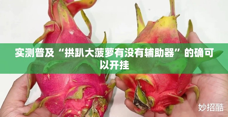 实测普及“拱趴大菠萝有没有辅助器”的确可以开挂