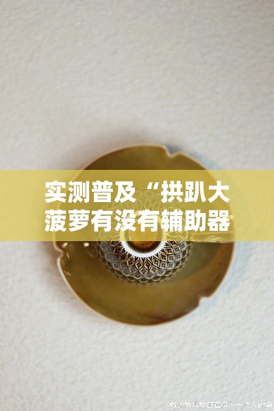 实测普及“拱趴大菠萝有没有辅助器”的确可以开挂