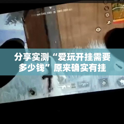 分享实测“爱玩开挂需要多少钱”原来确实有挂