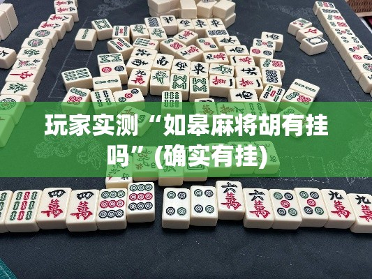玩家实测“如皋麻将胡有挂吗”(确实有挂)