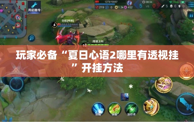 玩家必备“夏日心语2哪里有透视挂”开挂方法