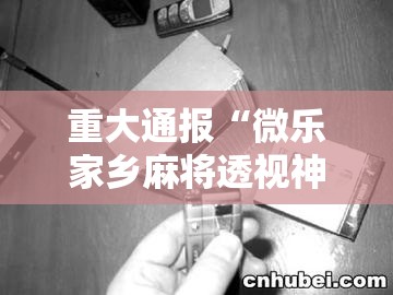 重大通报“微乐家乡麻将透视神器下载	”详细开挂方法
