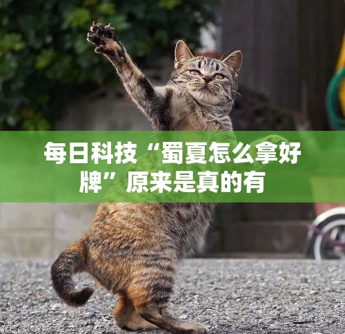 每日科技“蜀夏怎么拿好牌	”原来是真的有