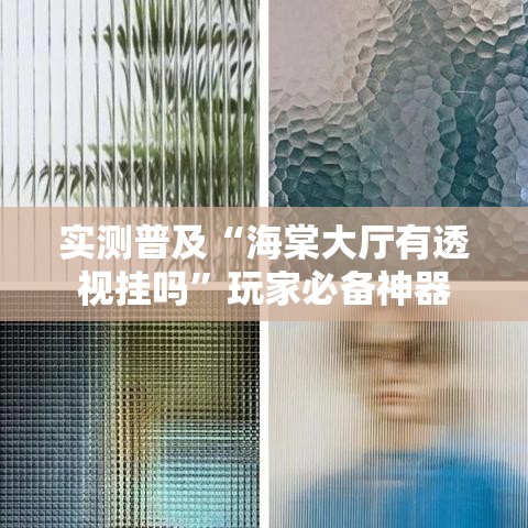 实测普及“海棠大厅有透视挂吗”玩家必备神器