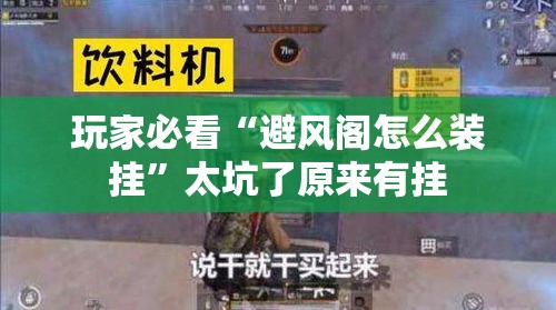 玩家必看“避风阁怎么装挂	”太坑了原来有挂