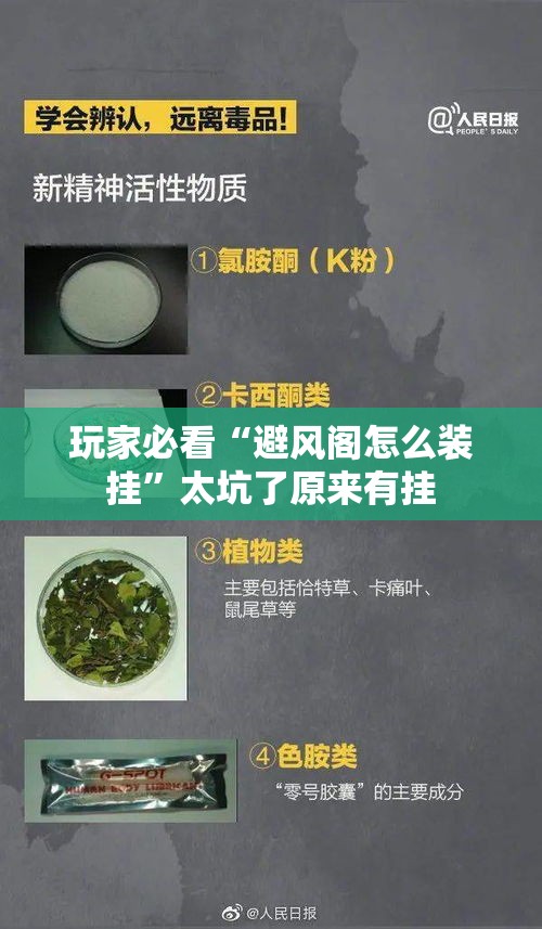 玩家必看“避风阁怎么装挂	”太坑了原来有挂