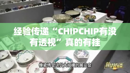 经验传递“CHIPCHIP有没有透视”真的有挂