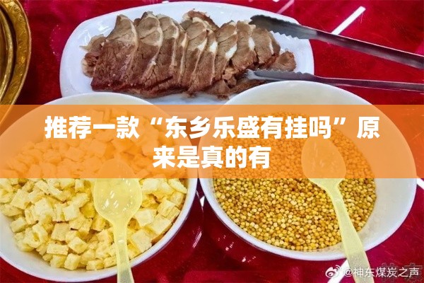 推荐一款“东乡乐盛有挂吗	”原来是真的有