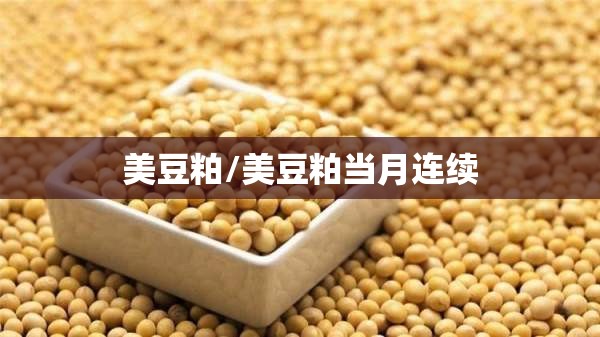 美豆粕/美豆粕当月连续