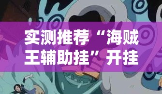 实测推荐“海贼王辅助挂”开挂详细方法