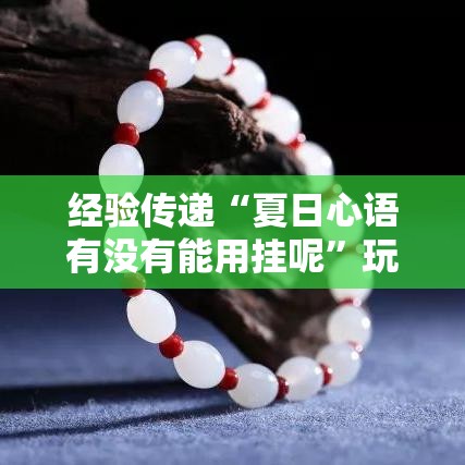 经验传递“夏日心语有没有能用挂呢”玩家必备神器