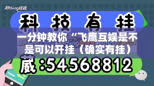 一分钟教你“飞鹰互娱是不是可以开挂（确实有挂）