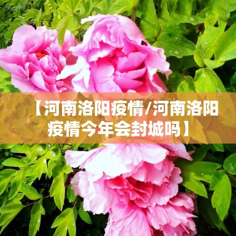 【河南洛阳疫情/河南洛阳疫情今年会封城吗】