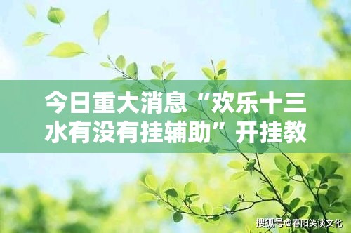 今日重大消息“欢乐十三水有没有挂辅助”开挂教学