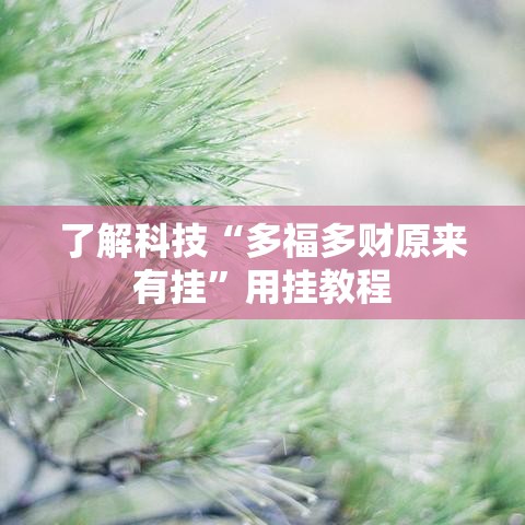 了解科技“多福多财原来有挂”用挂教程