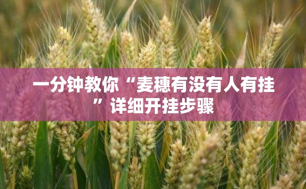 一分钟教你“麦穗有没有人有挂”详细开挂步骤