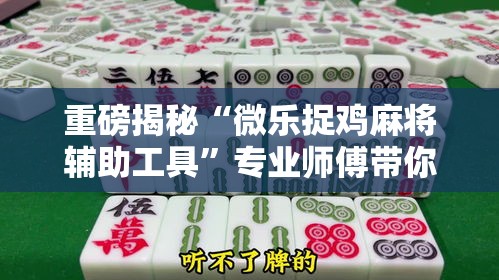 重磅揭秘“微乐捉鸡麻将辅助工具”专业师傅带你了解