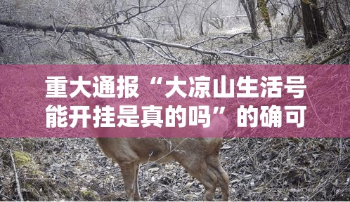 重大通报“大凉山生活号能开挂是真的吗”的确可以开挂