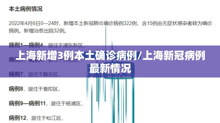 上海新增3例本土确诊病例/上海新冠病例最新情况