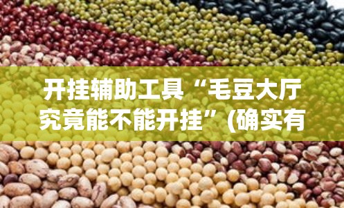 开挂辅助工具“毛豆大厅究竟能不能开挂”(确实有挂)