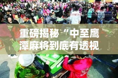 重磅揭秘“中至鹰潭麻将到底有透视吗 ”的确有挂