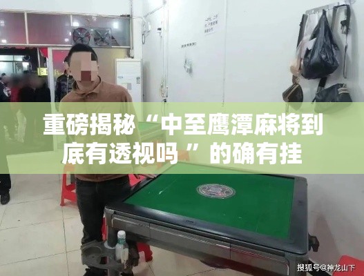 重磅揭秘“中至鹰潭麻将到底有透视吗 ”的确有挂