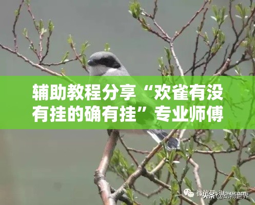 辅助教程分享“欢雀有没有挂的确有挂	”专业师傅带你了解