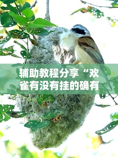 辅助教程分享“欢雀有没有挂的确有挂”专业师傅带你了解