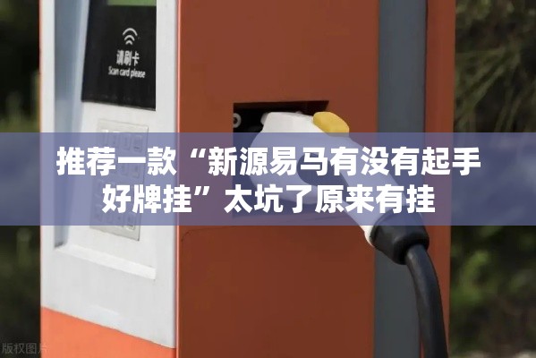 推荐一款“新源易马有没有起手好牌挂	”太坑了原来有挂