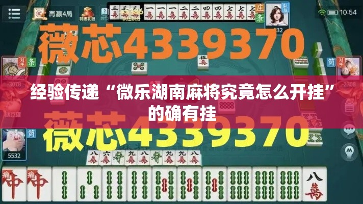 经验传递“微乐湖南麻将究竟怎么开挂	”的确有挂