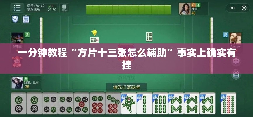 一分钟教程“方片十三张怎么辅助	”事实上确实有挂
