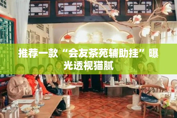 推荐一款“会友茶苑辅助挂”曝光透视猫腻