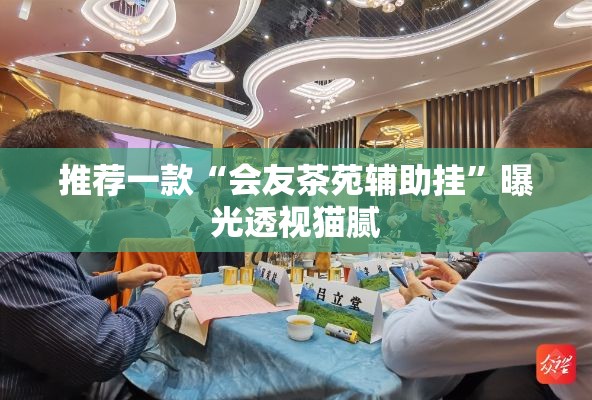 推荐一款“会友茶苑辅助挂	”曝光透视猫腻