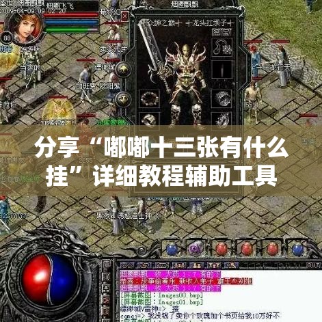 分享“嘟嘟十三张有什么挂”详细教程辅助工具