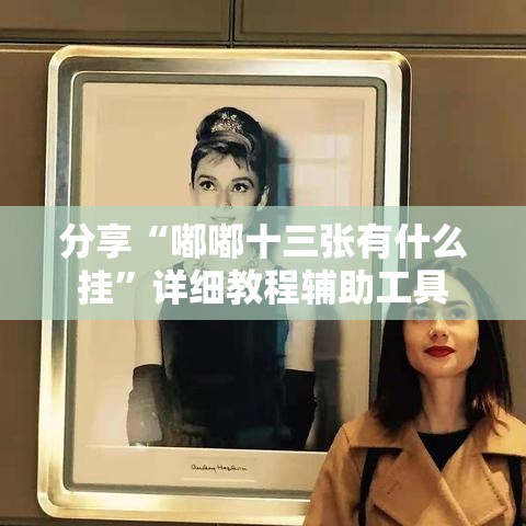 分享“嘟嘟十三张有什么挂	”详细教程辅助工具