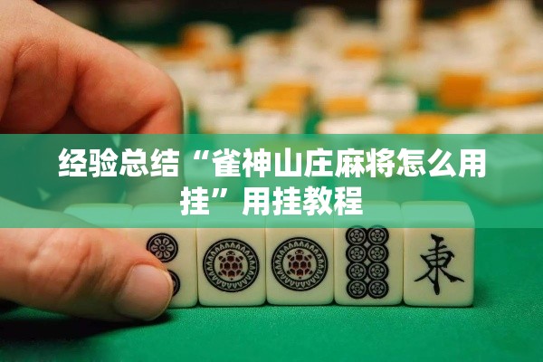 经验总结“雀神山庄麻将怎么用挂”用挂教程