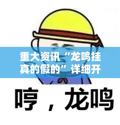 重大资讯“龙鸣挂真的假的	”详细开挂步骤