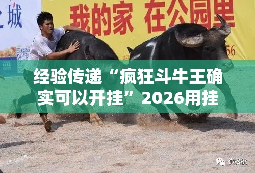 经验传递“疯狂斗牛王确实可以开挂”2026用挂