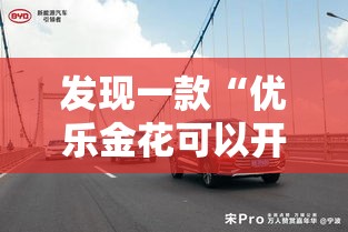 发现一款“优乐金花可以开挂吗”的确有挂