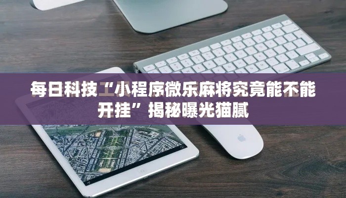 每日科技“小程序微乐麻将究竟能不能开挂”揭秘曝光猫腻
